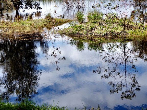 lakeside ripple & reflections1