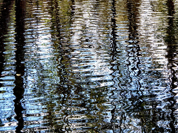 lakeside ripple & reflections7