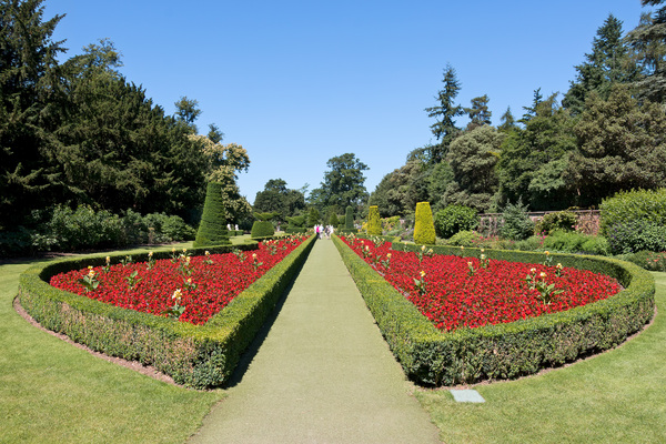 Semi formal garden
