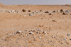 Rocky area in the desert sand