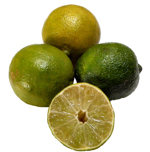 fresh limes b1