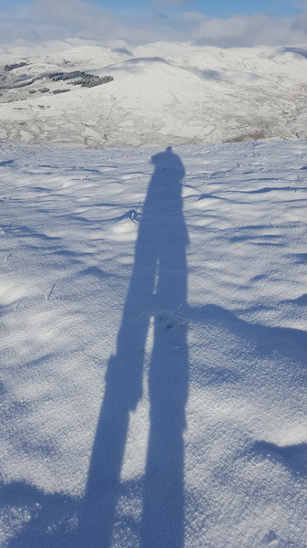 Winter shadow