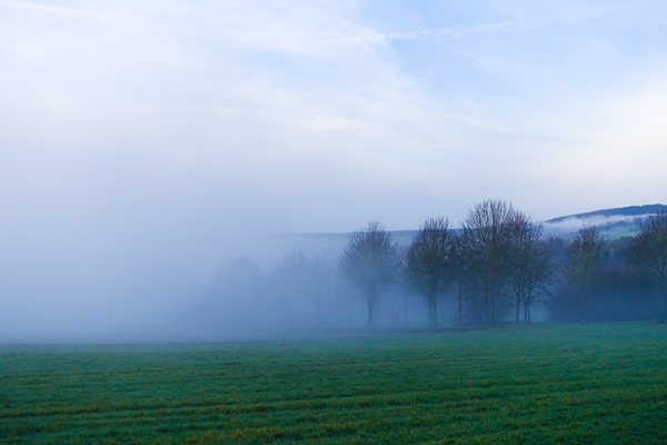 foggy winter landscape 3