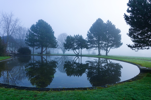 fog and lake reflections 2