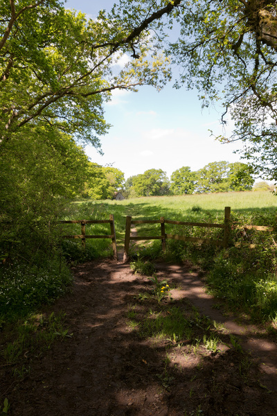 Field entrance and footpath