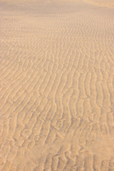 Sand rills texture