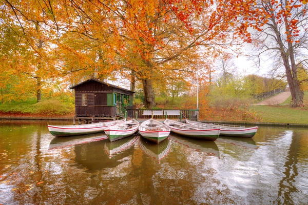 Rowing boats and autumn park