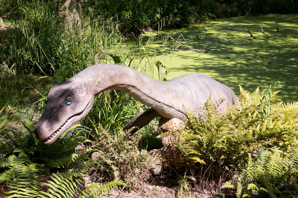 Plesiosaur dinosaur
