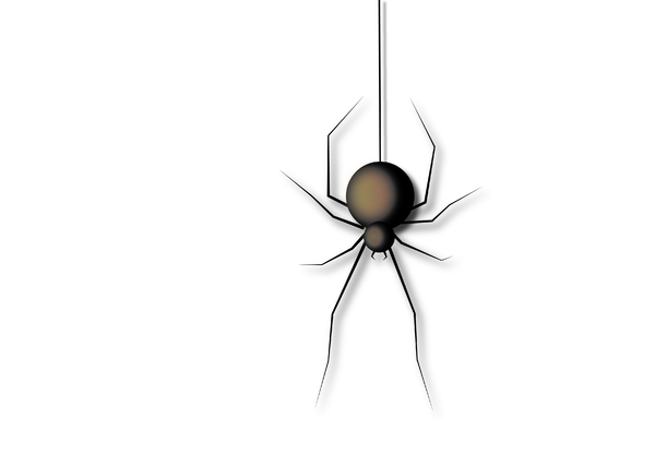 . . .Little lonely spider. . .