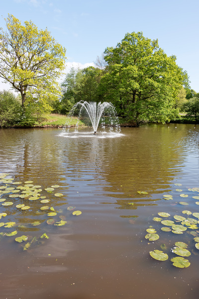 Ornamental pond