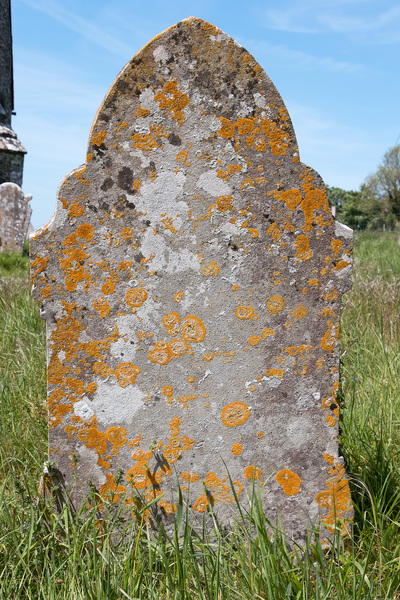 Old gravestone with lichens