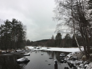Lake in Finland