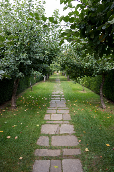 Apple tree path