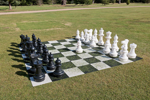 gigantisch schaakspel