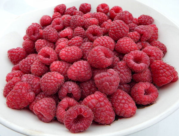 fresh raspberries2