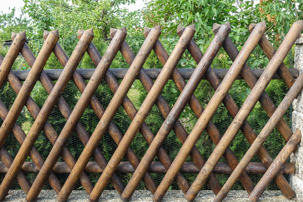 trellis-work fence