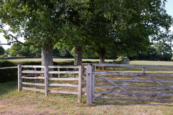 Farm fence and trees