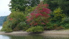 couleurs d'automne