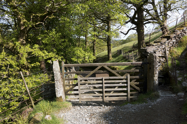 Footpath and gate