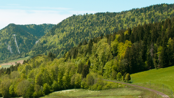 Mountain landscape in summer.