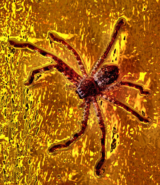 embedded in amber2