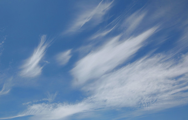 Windy clouds: Clouds in the sky