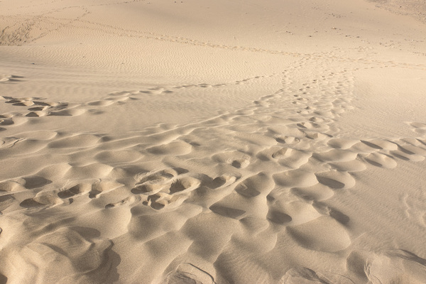 dunas de arena: 