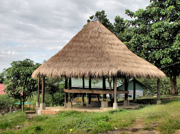 thatched roof shelter1