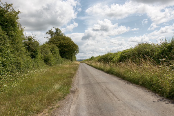 Rural lane