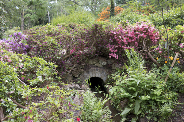 jardin boisé: 