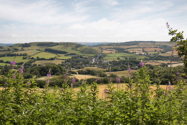 krajobraz Dorset: 