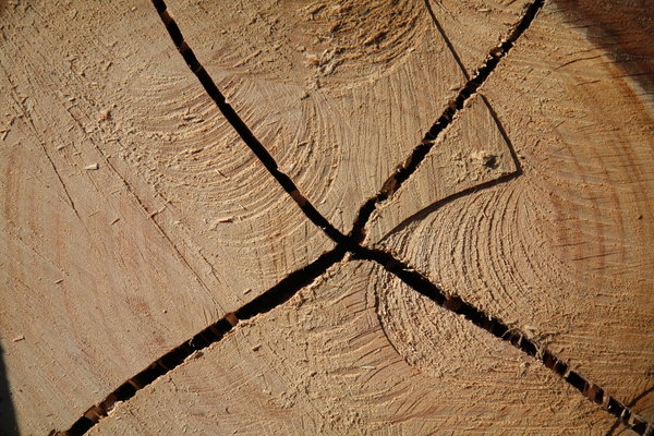 X wood texture