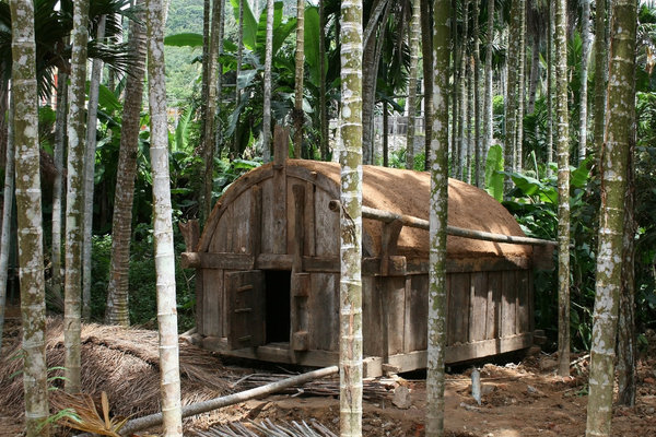Jungle hut: A grain store amid palm trees in Hainan, China.