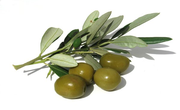 olives 2: none