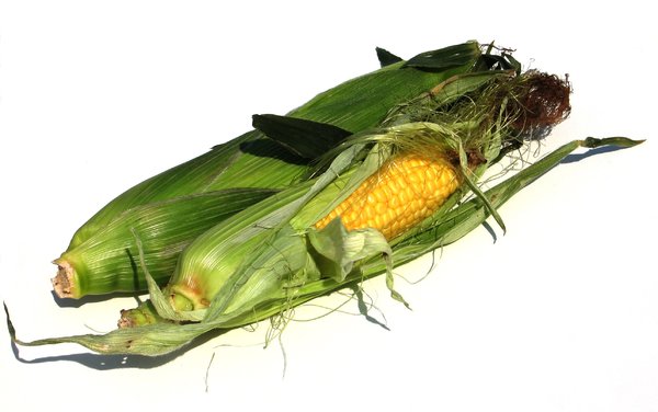 corn cobs 2