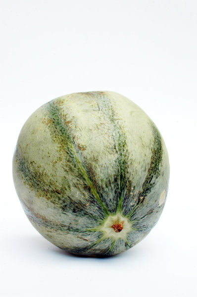 Melon 'charentais' serie # 1