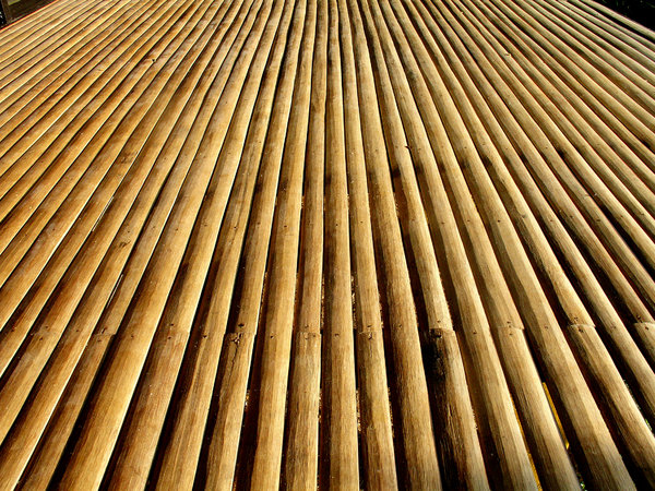 Bamboo Slats