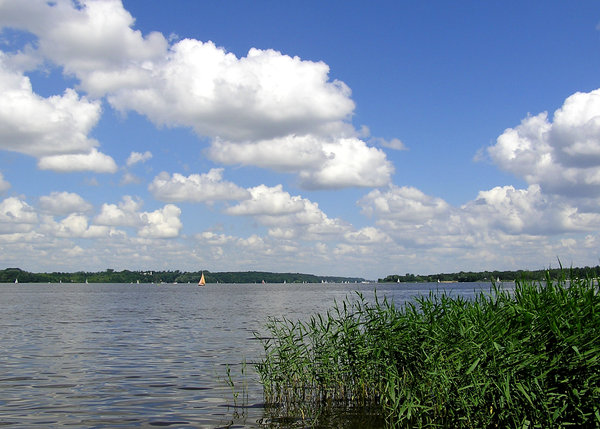A view on a lake
