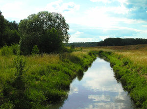 Channel: Just small stream near Zalew Zegrzynski.Please mail me or comment this photo if you find it useful. Thanks in advance!I would be extremely happy to see the final work even if you think it is nothing special! For me it is (and for my portfolio)!