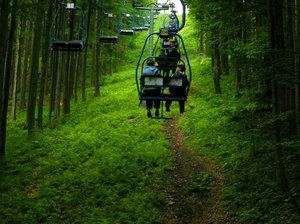 Cable Railway in deep pine for: Cable Railway in deep pine forest, Ustron, Poland.Please mail me or comment this photo if you find it useful. Thankis in advance.I would be happy to receive the information about picture usage. I would be extremely happy to see the final work even if you 