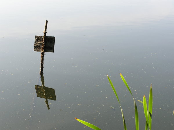 A tablet in a lake