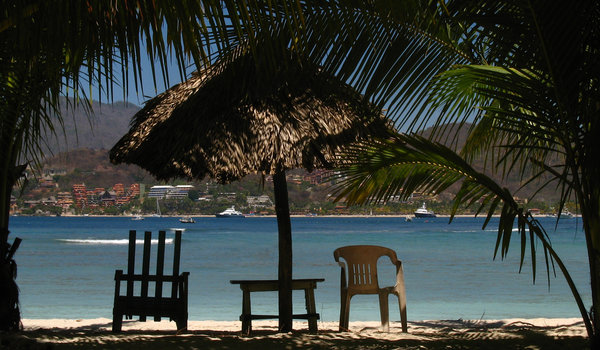 Chairs at beach shore: A chair at the beach shore, with palms surrounding. 