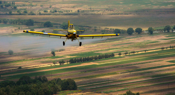 Fumigation airplane: Small, yellow fumigation airplane flying over rural landscape.