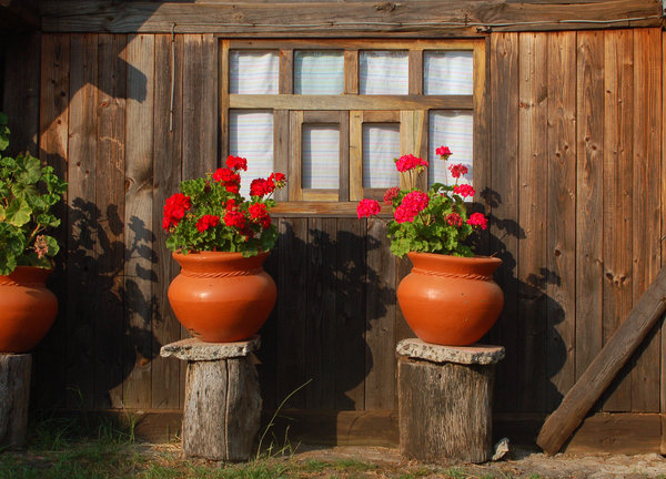 Wood cabin Window: A window in a wood cabin, with two flowerpots in the front.