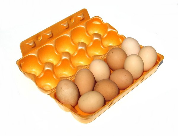 farm eggs 1