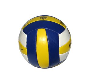 volleyball ball: none