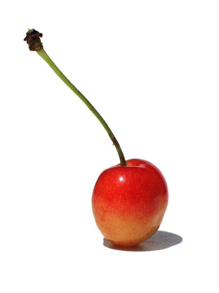 first cherry 1: none