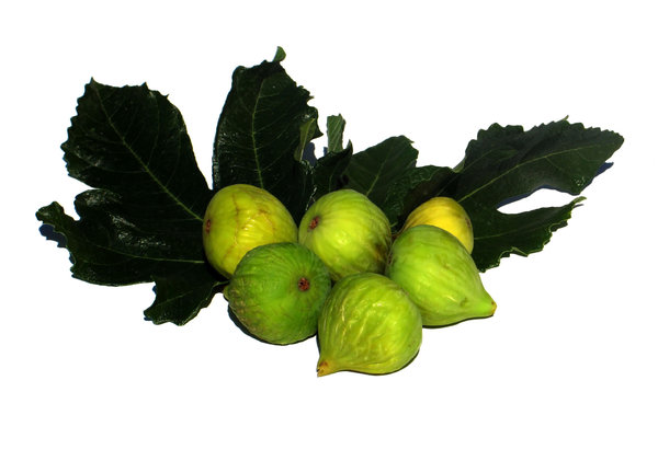 ripe figs 2