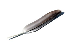 simple feather
