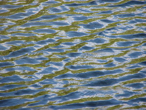 Water Texture 2: Closeup of a pond========================Please drop me a quick note if you find my pictures useful.Even if it's something small --I would be absolutely thrilled to know where & how they are being used!